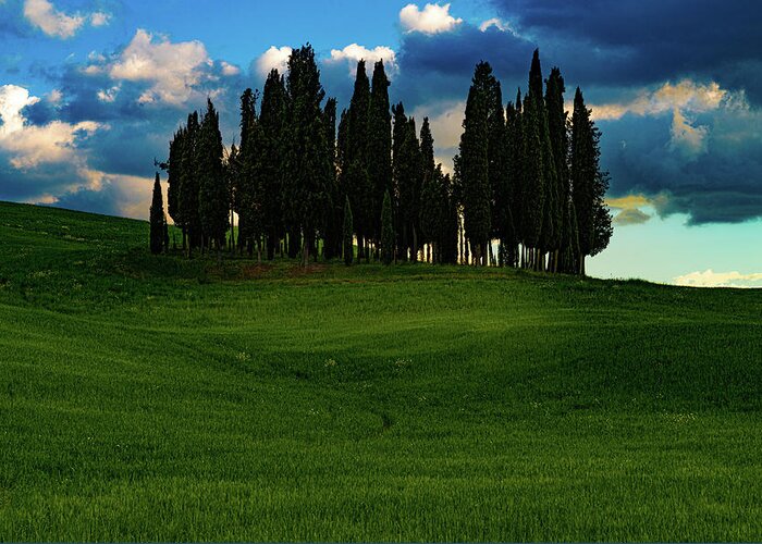 Tuscany Greeting Card featuring the photograph Cypress Trees by Chris Lord