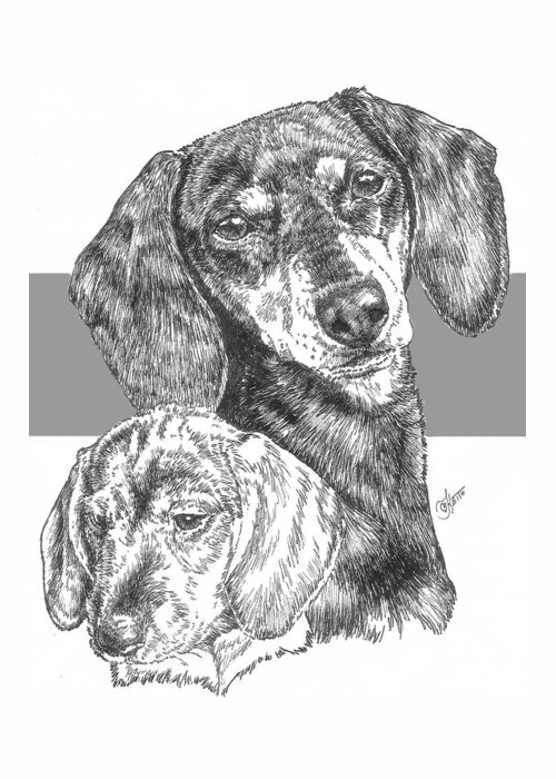 Hound Group Greeting Card featuring the drawing Dachshund Smooth Coat and Pup by Barbara Keith