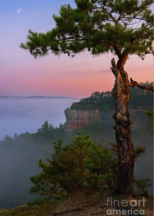 Red River Gorge Greeting Card featuring the photograph Dawn over the Gorge by Anthony Heflin