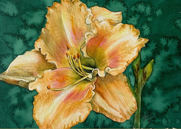  Greeting Card featuring the painting Daylily O by Diane Ziemski