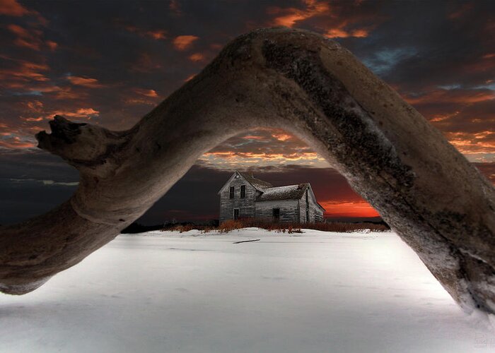 Abandoned Farm Farmstead Deadwood Frozen Tree Ice Snow Winter Cold Blue Scenic Landscape Prairie Winter Freezing Sunset Sunrise Arch Devils Lake Frost Desolate Deserted Greeting Card featuring the photograph Deadwood Arch Above Abandoned Farm #2 by Peter Herman