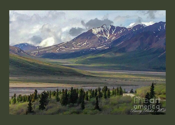 Nature Greeting Card featuring the photograph Denali by Barry Bohn