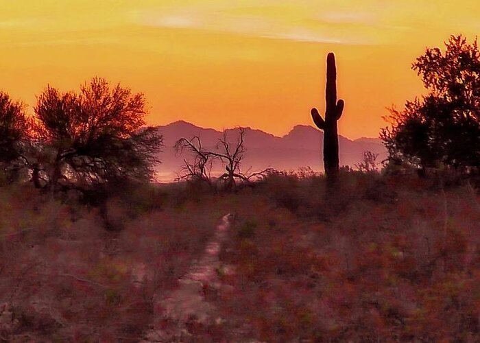 Affordable Greeting Card featuring the photograph Desert Sunrise Trail by Judy Kennedy