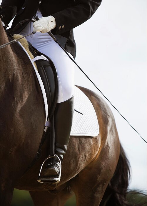 Horse Greeting Card featuring the photograph Detail Of Female Dressage Rider On Horse by Lea Roth