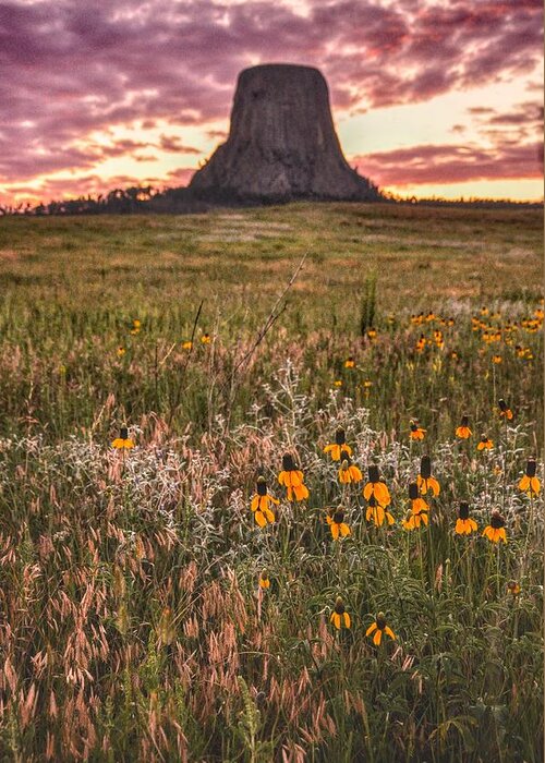 Devil's Greeting Card featuring the photograph Devil's Tower Sunset by Chance Kafka