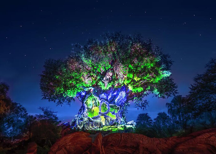 Tree Of Life Greeting Card featuring the photograph Disney's Tree of Life Panorama by Mark Andrew Thomas