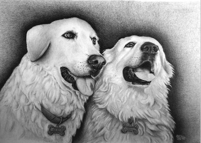 Pet Greeting Card featuring the drawing Dixie and Savannah by Danielle R T Haney