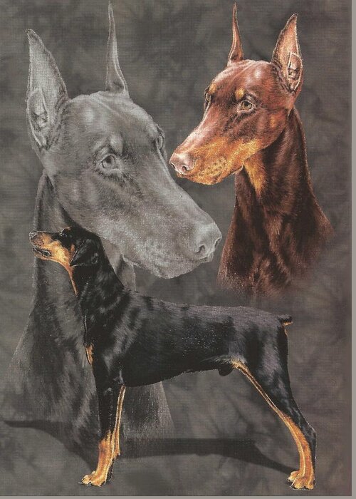 Working Group Greeting Card featuring the drawing Doberman Alteration by Barbara Keith