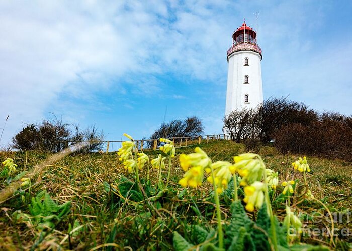 Lighthouse Greeting Card featuring the photograph Dornbusch lighthouse on Hiddensee Island, Germany. by Michal Bednarek
