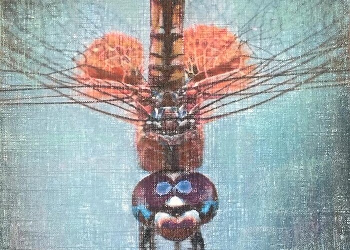 Dragonfly Greeting Card featuring the painting Dragonfly by Cara Frafjord