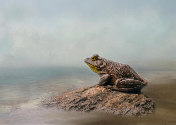 Frog Greeting Card featuring the photograph Dreaming by Cathy Kovarik