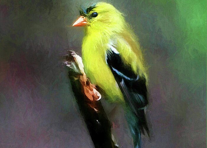 Yellow Finch Greeting Card featuring the digital art Dressed To Kill by Tina LeCour
