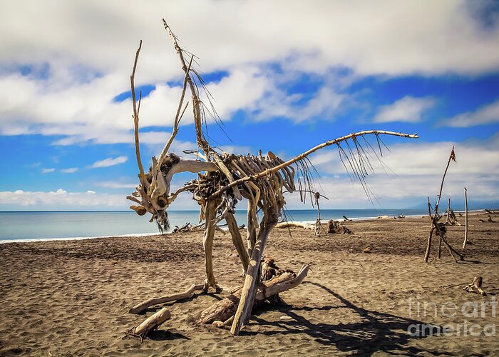 Driftwood Greeting Card featuring the photograph Driftwood artwork on Hokitika Beach, New Zealand by Lyl Dil Creations