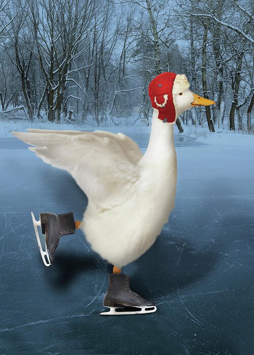 Duck Ice Skating Greeting Card featuring the photograph Duck Ice Skating by J Hovenstine Studios
