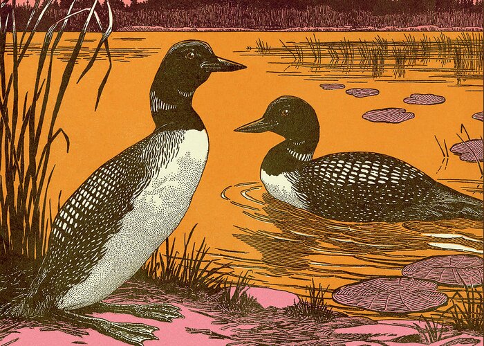 Animal Greeting Card featuring the drawing Ducks by CSA Images