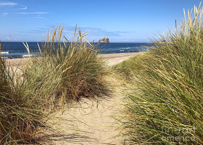 Sea Greeting Card featuring the photograph Dune Beach Path by Jeanette French