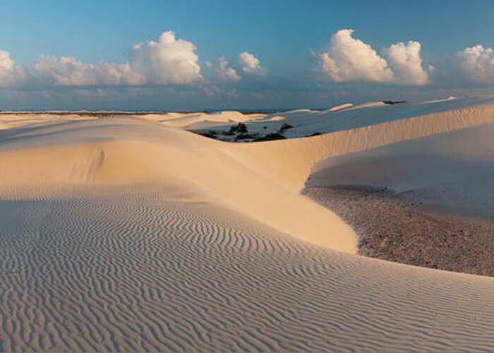 Tranquility Greeting Card featuring the photograph Dunes by Alex Martin Ros