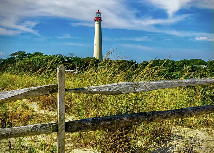 Atlantic Coast Greeting Card featuring the photograph Dunes at Cape May Light by Nick Zelinsky Jr