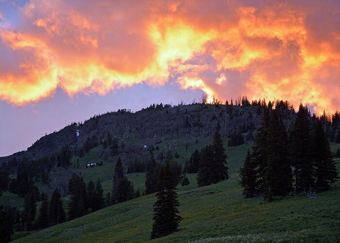 Yellowstone Greeting Card featuring the photograph Dunraven Pass Sunset by Bruce Gourley