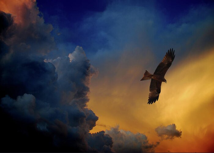 Animal Themes Greeting Card featuring the photograph Eagle Over The Top by Gopan G Nair