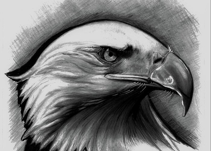 Eagle Greeting Card featuring the drawing Eagle by Pawel Sikora