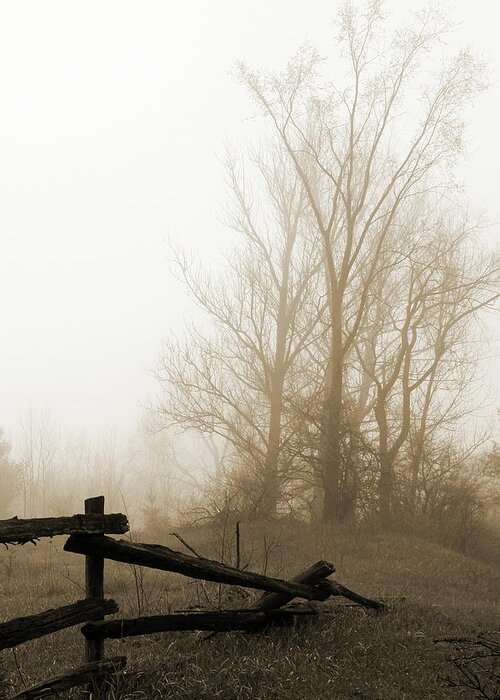 Fog Greeting Card featuring the photograph Early Morning I by Willow Way Studios, Inc.