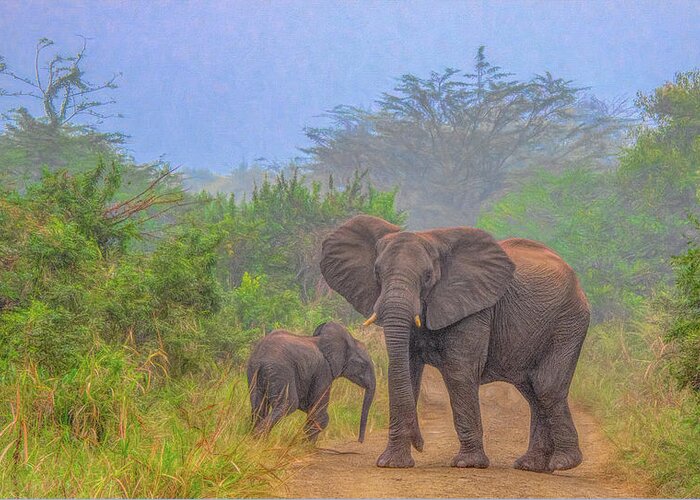 Hluhluwe National Park Greeting Card featuring the photograph Early Morning Safari Surprise by Marcy Wielfaert