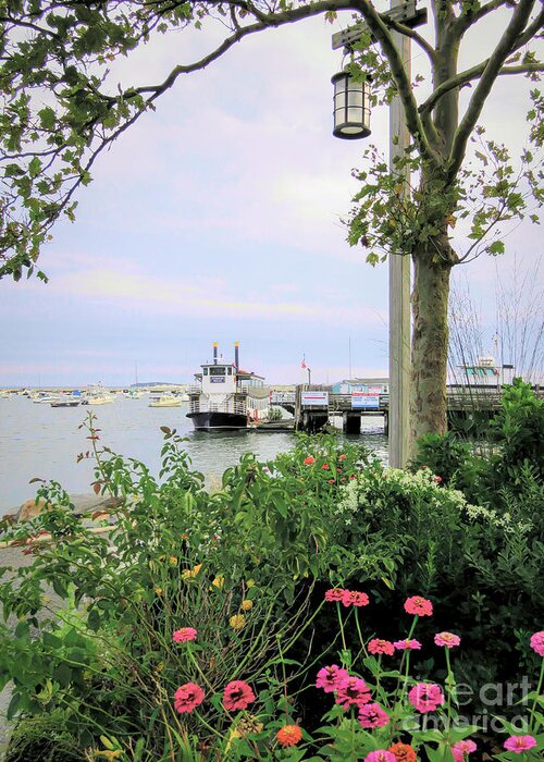 Plymouth Ma Greeting Card featuring the photograph End of Summer by Janice Drew