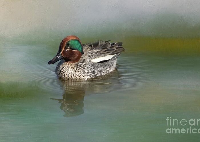 Eurasian Teal Greeting Card featuring the mixed media Eurasian Teal by Eva Lechner