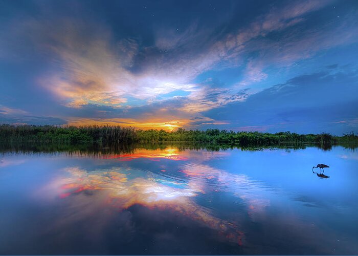 Sunset Greeting Card featuring the photograph Everglades Sunset by Mark Andrew Thomas