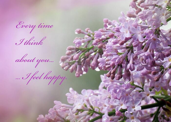 Happy Greeting Card featuring the photograph Every Time I Think About You Syringa by Johanna Hurmerinta