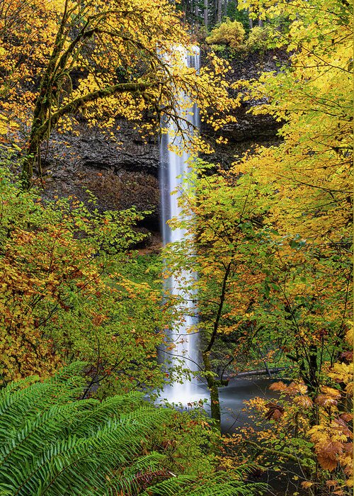 Silver Falls Greeting Card featuring the photograph Fall colors at the Southfalls by Ulrich Burkhalter