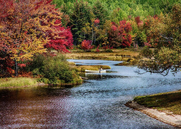 Landscape Greeting Card featuring the photograph Fall colors in Baxter State Park by Jeff Folger