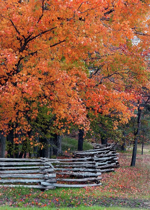 Split Rail Fence Greeting Card featuring the photograph Fall Colors Split Rail Fence by David T Wilkinson
