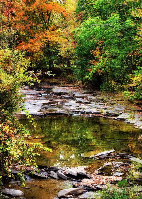 Fall Greeting Card featuring the photograph Fall Creek by Christina Rollo