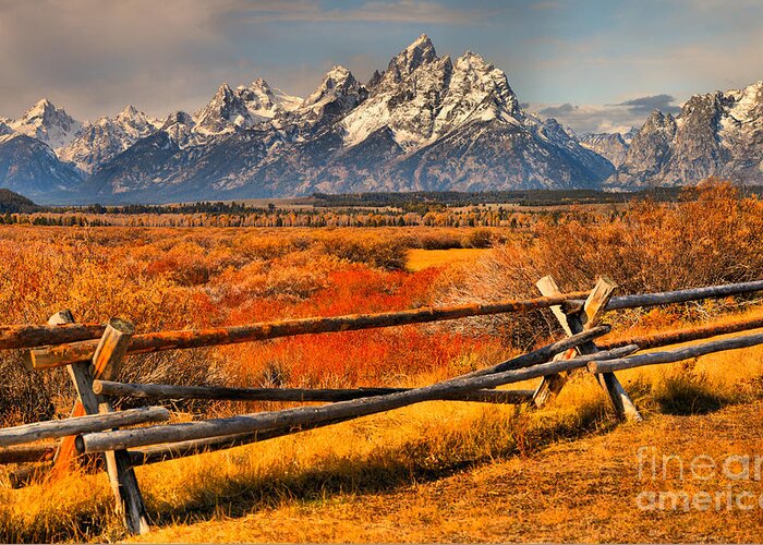 Grand Teton National Park Greeting Card featuring the photograph Fall Foliage Over The Fence by Adam Jewell
