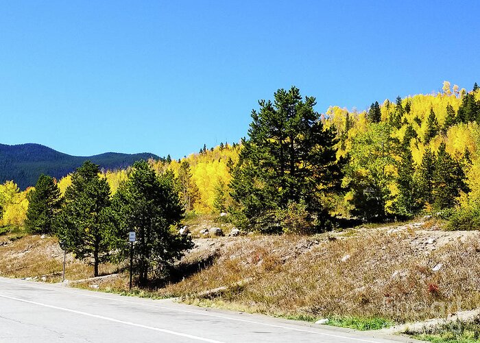 Breckenridge Greeting Card featuring the photograph Fall in Colorado by Elizabeth M