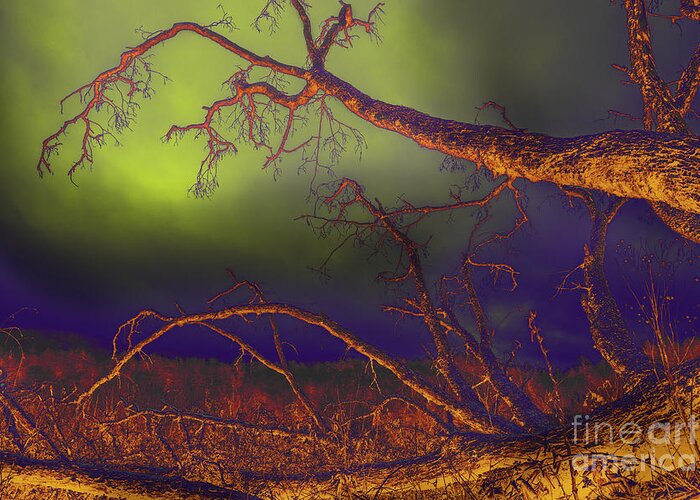 Tree Greeting Card featuring the photograph Fallen Tree by Mike Eingle