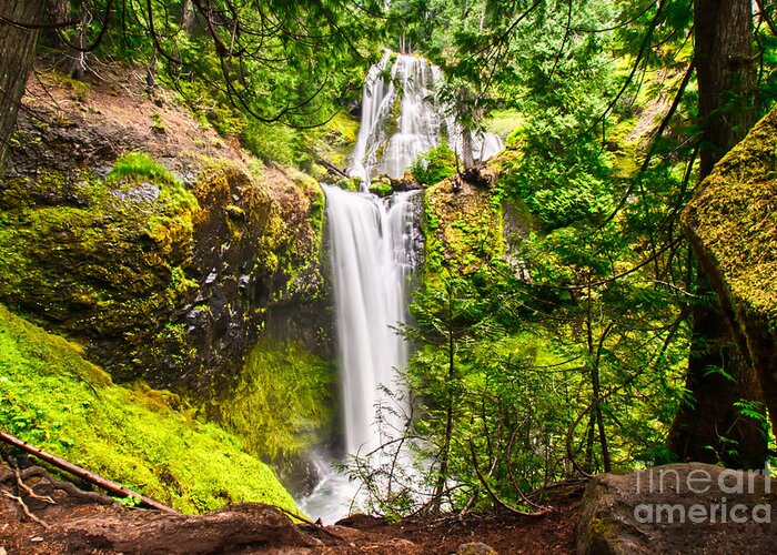 Washington State Greeting Card featuring the photograph Falls Creek Falls by Bruce Block