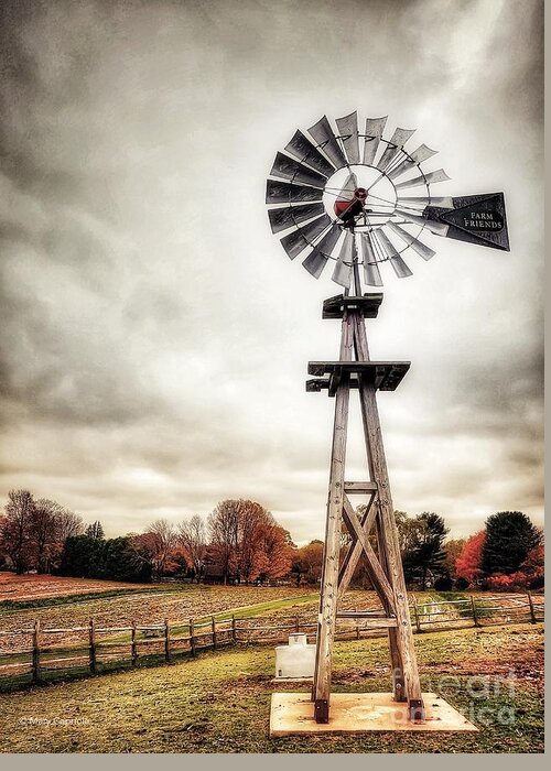 Landscape Greeting Card featuring the photograph Farm Tendercrop by Mary Capriole
