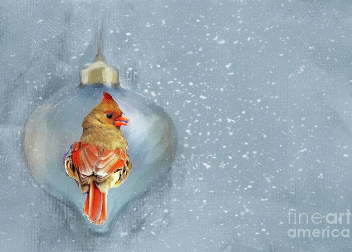 Female Northern Cardinal Christmas Ornament Snow Reflection Greeting Card featuring the photograph Female Cardinal at Christmas by Janette Boyd