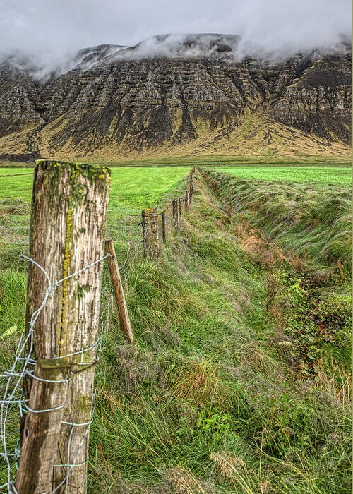 Iceland Greeting Card featuring the photograph Fence of Iceland by David Letts