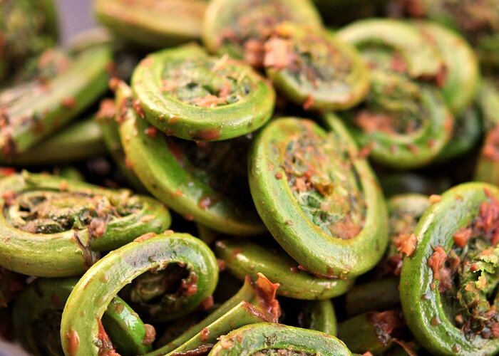 Italian Food Greeting Card featuring the photograph Fiddlehead Ferns by Image By Michael Talalaev