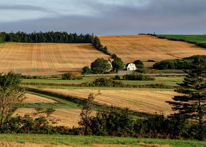 Pei Greeting Card featuring the photograph Fields and Farms Patchwork by Marcy Wielfaert