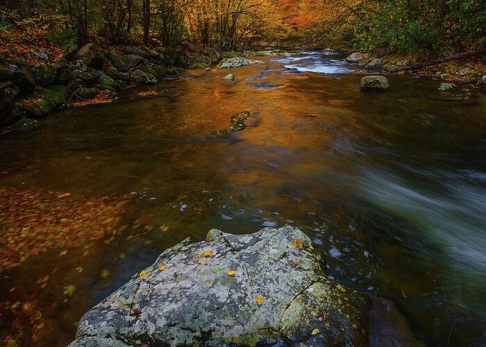 Fall Colors And Waterfall Greeting Card featuring the photograph Fire On The Rock by Johnny Boyd