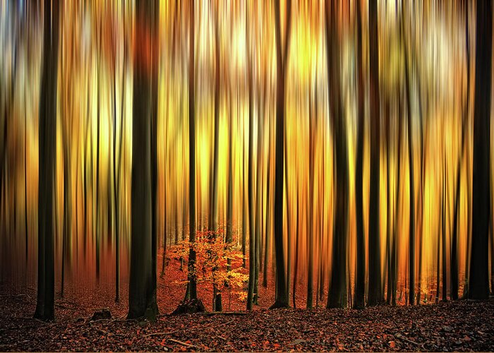 Forest Greeting Card featuring the photograph Firewall by Philippe Sainte-Laudy