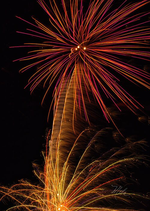 Fireworks Greeting Card featuring the photograph Fireworks Palm Tree by Meta Gatschenberger