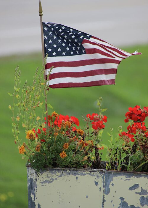 Flower Box Greeting Card featuring the photograph Flag_416 by Jeff Rasche