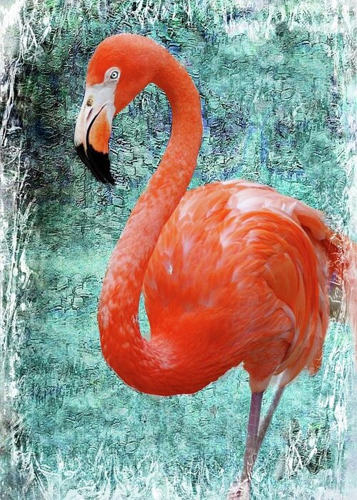 Flamingo Greeting Card featuring the photograph Flamingo Mosaic by Stoney Lawrentz