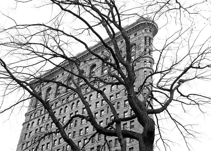 Trees Greeting Card featuring the mixed media Flatiron With Tree (b/w) by Erin Clark